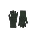 Optimized_Gloves-SpruceGreen-Transparent.png